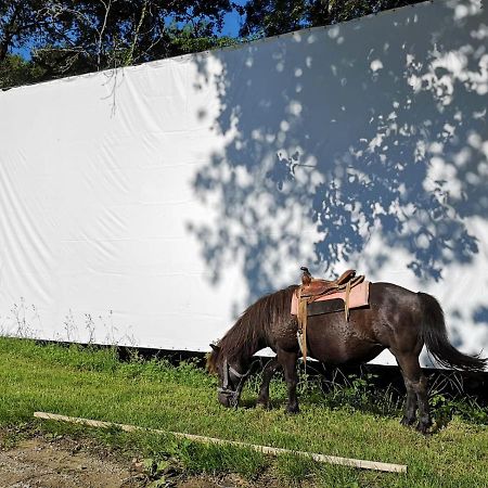 Domaine De Cavailla Villa Marmont-Pachas ภายนอก รูปภาพ