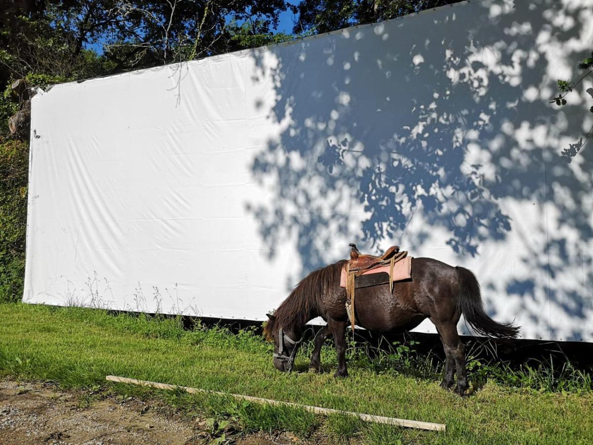 Domaine De Cavailla Villa Marmont-Pachas ภายนอก รูปภาพ